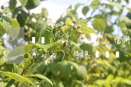 寧鄉(xiāng)信用貸款可以申請(qǐng)停息掛賬嗎-寧鄉(xiāng)信用貸款可以申請(qǐng)停息掛賬嗎知乎