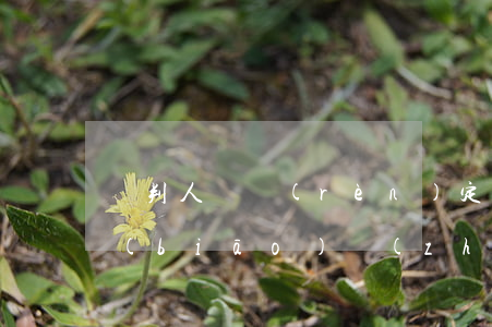 審判人員認(rèn)定證據(jù)的標(biāo)準(zhǔn)
