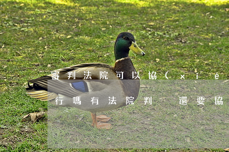 審判法院可以協(xié)助執(zhí)行嗎(有法院判決還要協(xié)助執(zhí)行書)