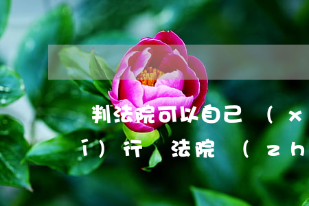 審判法院可以自己協(xié)助執(zhí)行嗎(法院執(zhí)行可以委托別人辦理嗎)