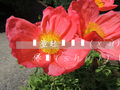 審查起訴繼續(xù)取保(審查起訴階段取保誰(shuí)說(shuō)了算)