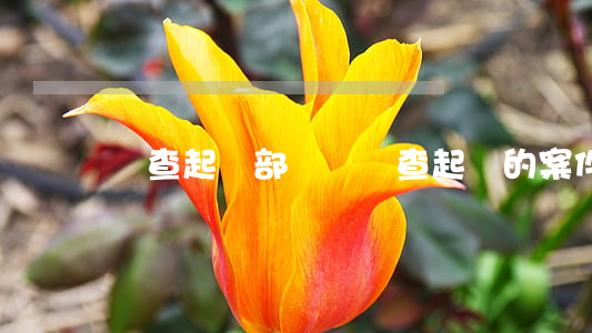 審查起訴部門對審查起訴的案件如何處理