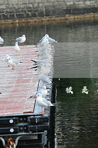 審核是什么意思