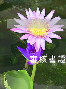 審核書證需要注意哪些問題