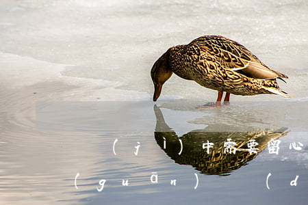 審計(jì)中需要留心的幾個(gè)關(guān)鍵點(diǎn)