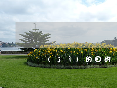 審計(jì)的目的