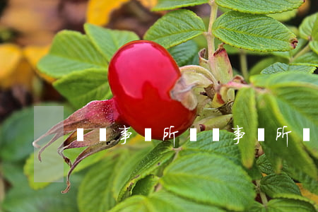 審計事務所(審計事務所辦理需要什么條件)
