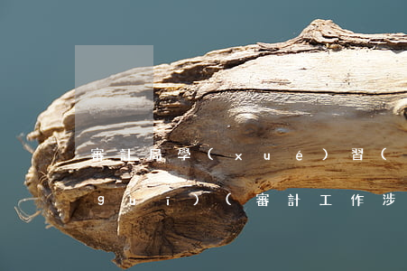 審計局學(xué)習(xí)法律法規(guī)(審計工作涉及到的法律法規(guī)有哪些)