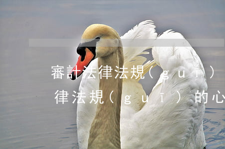 審計法律法規(guī)心得體會(關于法律法規(guī)的心得體會)