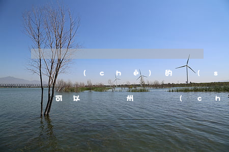 審車(chē)的時(shí)候處理違章可以嗎（蘇州審車(chē)時(shí)逾期了會(huì)扣分么）