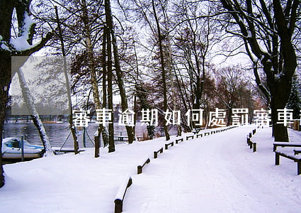 審車逾期如何處罰（審車逾期怎么辦）