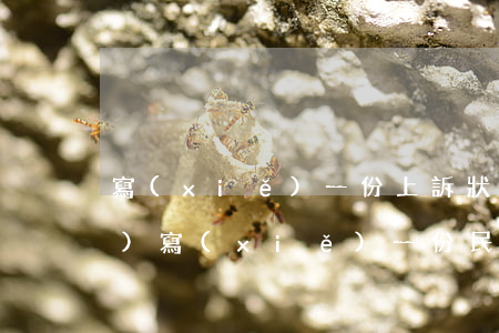 寫(xiě)一份上訴狀多少錢(qián)(寫(xiě)一份民事訴狀多少錢(qián))