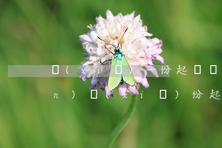 寫(xiě)一份起訴狀要多少錢(qián)(寫(xiě)份起訴狀需要多少錢(qián)?)