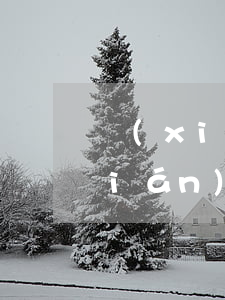寫(xiě)一個(gè)訴狀多少錢(qián)(寫(xiě)個(gè)民事起訴狀多少錢(qián))