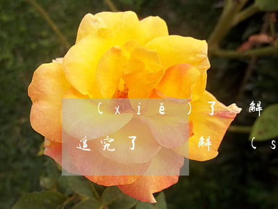 寫(xiě)了諒解書(shū)刑事也不追究了嗎(諒解書(shū)怎么寫(xiě)才能不追究刑事責(zé)任模板)