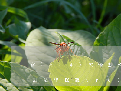 寫(xiě)欠條怎么寫(xiě)才能受到法律保護(hù)(法律上欠條如何寫(xiě))