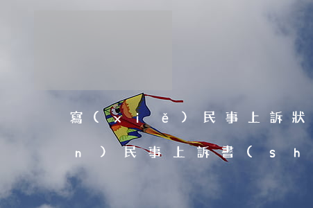 寫(xiě)民事上訴狀要多少錢(qián)(民事上訴書(shū)怎樣寫(xiě))