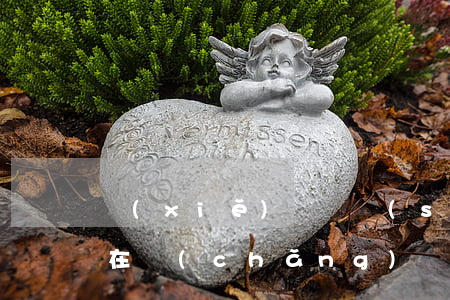 寫(xiě)遺囑時(shí)繼承人可以在場(chǎng)嗎(代書(shū)遺囑繼承人可以在場(chǎng)嗎)