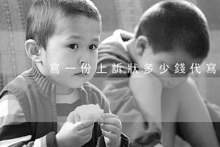 寫一份上訴狀多少錢(代寫一份上訴狀多少錢)
