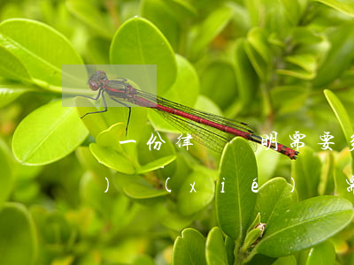 寫一份律師聲明需要多少錢(律師寫個(gè)協(xié)議需要多少錢)