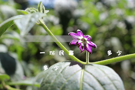 寫一份民事訴訟狀多少錢(寫個(gè)訴訟狀多少錢)