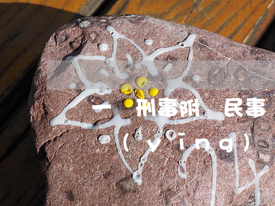 寫一個刑事附帶民事訴狀需要多少錢(刑事訴狀,應(yīng)該怎樣寫?)