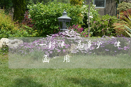 寫一封律師函多少錢(律師發(fā)一封律師函費用)