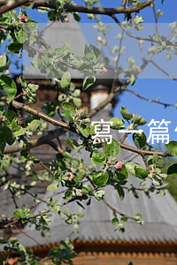 寫一篇借條(借條寫作格式寫一份借條)