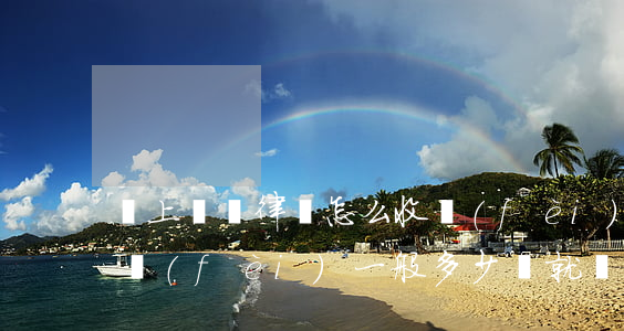 寫上訴狀律師怎么收費(fèi)(上訴律師費(fèi)一般多少錢就寫個(gè)材料)