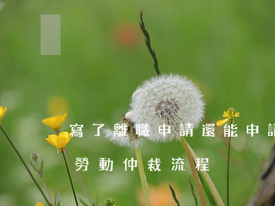 寫了離職申請還能申請勞動仲裁嗎(離職申請勞動仲裁流程)