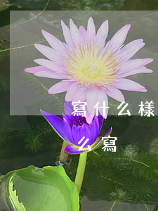 寫什么樣的借條有效(正確的借條簡單有效怎么寫)
