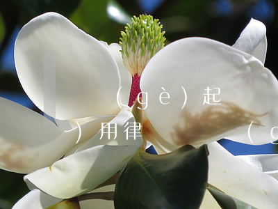 寫個(gè)起訴書給律師多少費(fèi)用(律師給寫個(gè)起訴書多少錢)