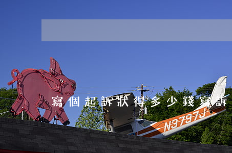 寫個起訴狀得多少錢(寫訴狀多少錢一份)