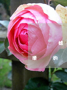 寫個離婚協(xié)議書就可以離婚嗎(隨便寫的離婚協(xié)議書有效嗎)