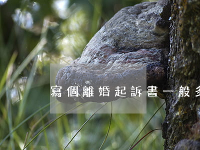 寫個離婚起訴書一般多少錢