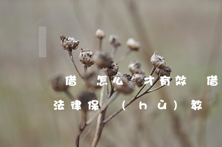 寫借條怎么寫才有效(寫借條怎么寫才有效,受法律保護(hù)教寫視頻)