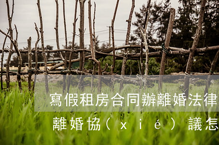 寫假租房合同辦離婚法律生效嗎(假離婚買房離婚協(xié)議怎么寫)