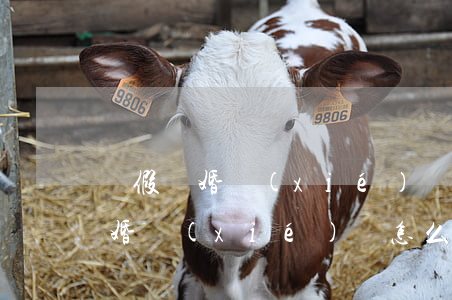 寫假離婚協(xié)議犯法嗎(假離婚的離婚協(xié)議怎么寫)