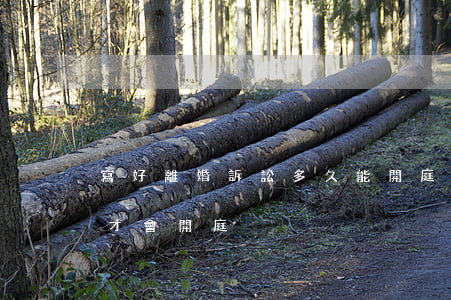 寫好離婚訴訟多久能開庭(起訴離婚一般多久才會開庭)