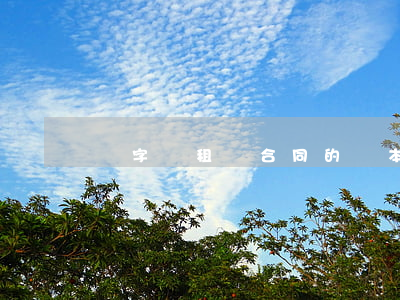 寫字樓租賃合同的樣本
