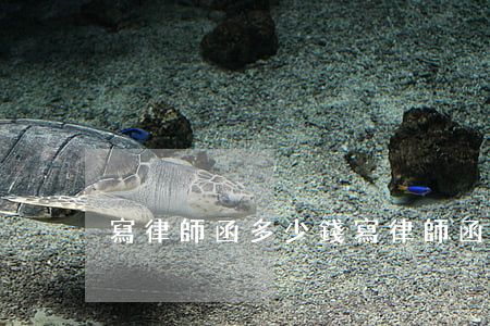 寫律師函多少錢(寫律師函要多少錢)