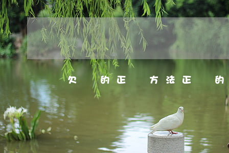 寫欠條的正確方法(正確的欠條書寫方式)