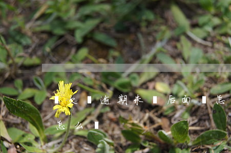 寫欠條逾期未還后面該怎么寫(借條逾期未還怎么寫)
