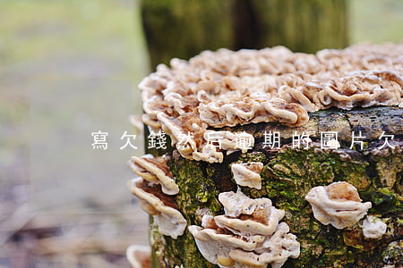 寫欠錢然后逾期的圖片(欠款逾期怎么寫)