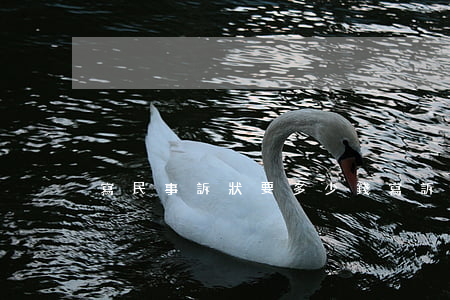 寫民事訴狀要多少錢(寫訴狀一般要多少錢)
