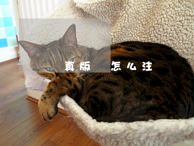 寫真版權怎么注冊