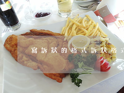 寫訴狀的格式(訴狀格式怎么寫)
