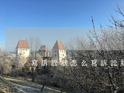 寫訴訟狀怎么寫(訴訟狀如何寫)