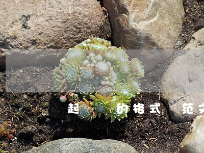 寫起訴書的格式與范文(起訴書文本格式)