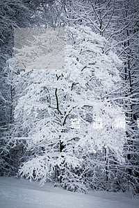 寫遺囑需要去公證處么（如何認定遺囑的效力）